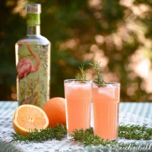 Flamingo Gin Tonic
